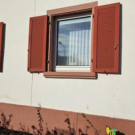 Schoene Wohnung In Worms Private Gastgeber Екстер'єр фото